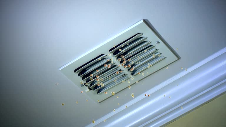 Best Best Air Duct Cleaning Company  in Avra Valley, AZ