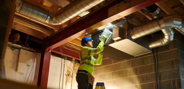 Best Professional Duct Cleaning Services  in Avra Valley, AZ