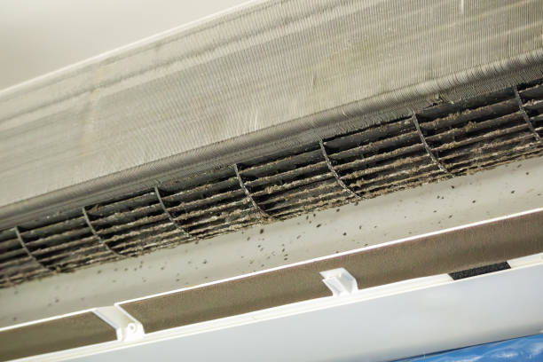Best Dryer Vent Cleaning Services  in Avra Valley, AZ