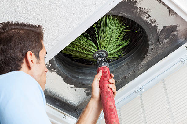 Best Best Air Duct Cleaning Near Me  in Avra Valley, AZ