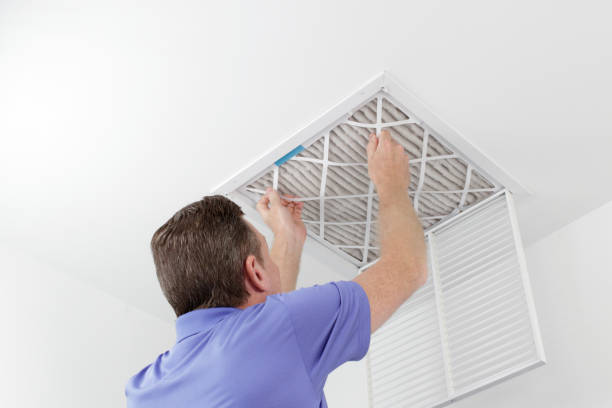 Best Air Duct Cleaning Near Me  in Avra Valley, AZ